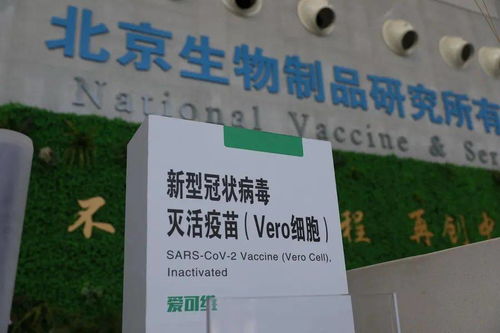 本土新增108例，防疫健康包與應對指南