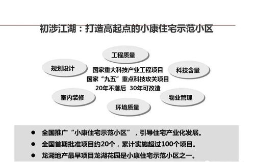 龍湖企業運營精細化管理的信息咨詢服務